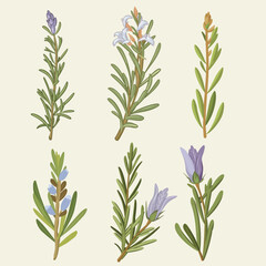 Obraz premium Flower Elements Vector, Flower icon Collection vector illustration