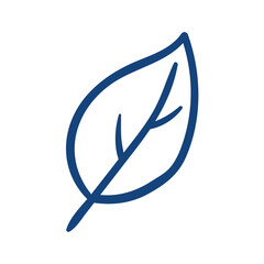 leaf. Hand drawn vector illustration.