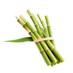 Fototapeta premium bunch of green bamboos isolated on 