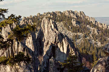 Scenic View of Rocky Mountains Landscape with Lush Green Trees and Majestic Peaks in Colorado, USA
