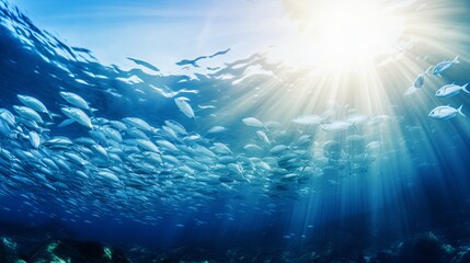 Fototapeta na wymiar Beautiful image of big fish school swimming under the sun beam in the Mediterranean Sea, at the Ikaria island