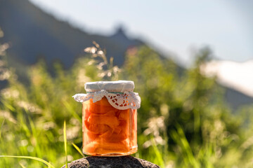Apricot compote on stone in valley of river Donau in Austria in summer sunny day