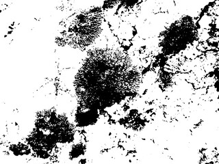 Rustic grunge texture with grain and stains. Abstract noise background. PNG graphic illustration with transparent background.