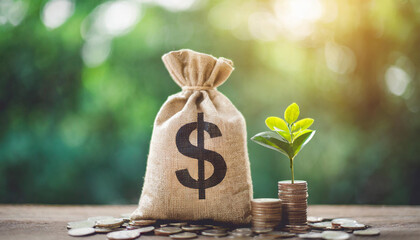  bag with money sign, symbolizing wealth and prosperity in business and finance