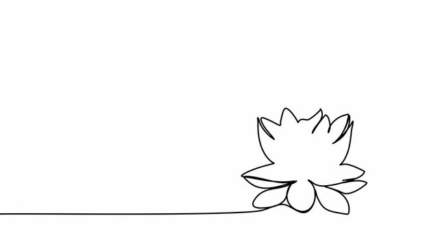 Flower, one line drawing animation, video clip with alpha channel.