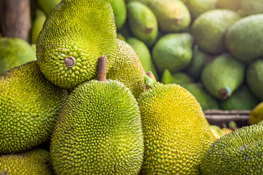 A vibrant display of fresh, ripe jackfruits, showcasing the juicy, sweet interior and seeds