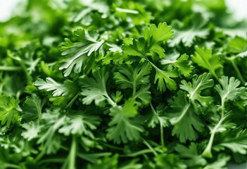 Fototapeta na wymiar Fresh green chopped parsley leaves isolated on white background