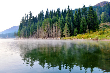 Fog in the early morning on a mountain lake with pine trees 