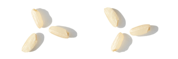 A top view captures the raw beauty of white basmati and brown rice grains. The macro closeup highlights their diverse textures, presenting a wholesome, nutritious food staple. Horizontal banner