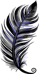 simple graphic drawing black and blue bird feather, sketch, logo