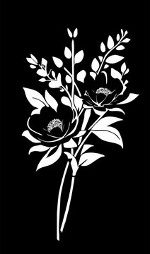 white graphic linear drawing of a branch of flowers on a black background, design