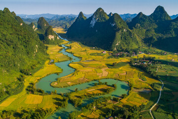 Aerial view of Cao Bang golden rice field with karst mountain and jade blue river