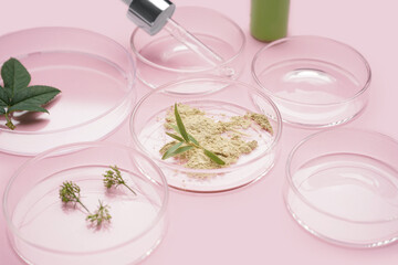 Petri dishes with herbs, sample and bottle of cosmetic product on pink background