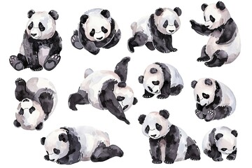 Set of pandas isolated on white background
