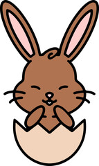 easter bunny in an easter egg shell