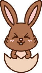 easter rabbit in eggshell