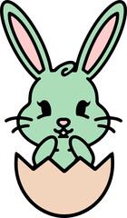 easter rabbit in eggshell