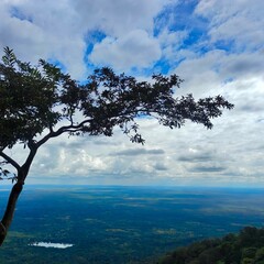 A trees and mountains view of a cliff surrounded by trees and plants, with clouds in the sky.