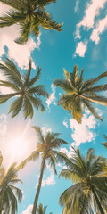 Treetops of palm trees against bright summer sky, view directly below