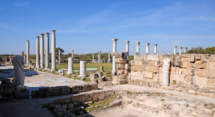 Salamis Ancient City in Cyprus. - obrazy, fototapety, plakaty