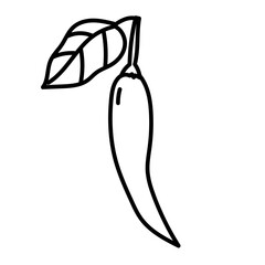 chili cartoon doodle