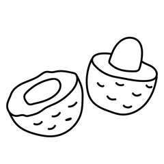lychee cartoon doodle