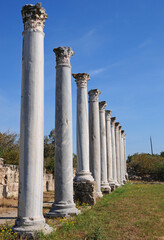 Fototapeta na wymiar Salamis Ancient City in Cyprus.
