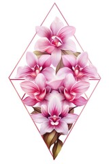 Orchid triangle isolated on white background