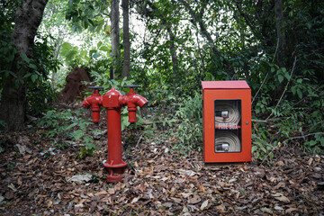 Firebox in the woods, with fire extinguished.