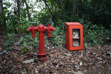 Firebox in the woods, with fire extinguished. public firebox for a safe environment.
