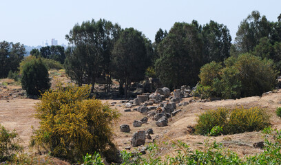 Fototapeta na wymiar Famagusta, Cyprus. April 14, 2013. Salamis Ancient City in Famagusta, Cyprus.