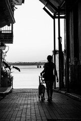 black and white photo of street towards the sea with girl walking the dog