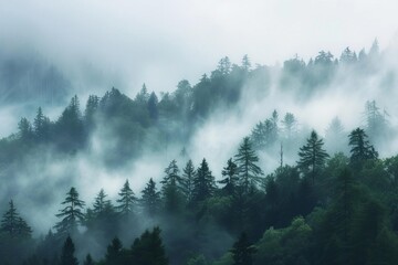 Mountain forest enveloped in morning mystic fog Offering a serene and mysterious landscape that captures the ethereal beauty of nature