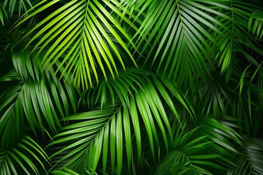 Palm leaves background Offering a tropical and lush image that conveys the exotic and refreshing essence of nature