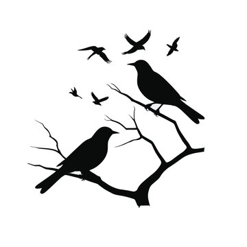 Bird silhouettes set silhouette of birds collection vector illustration