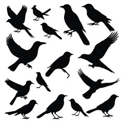 Obraz premium Bird silhouettes set silhouette of birds collection vector illustration