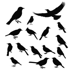 Obraz premium Bird silhouettes set silhouette of birds collection vector illustration
