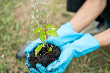 Volunteering Protection of environment and nature ecology concept. Group of volunteer plant a tree...