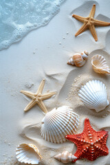 Fototapeta na wymiar Banner summer background with white sand. Seashell and starfish on the beach
