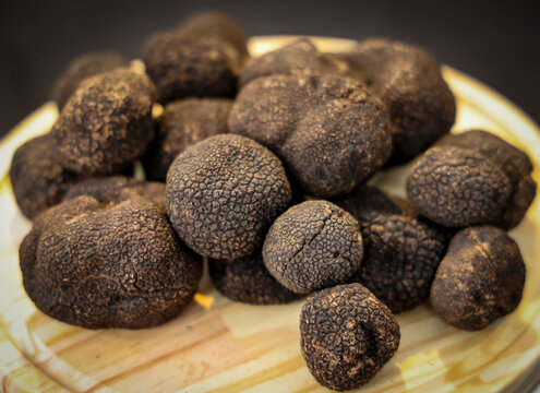 trufas negras (Tuber melanosporum)