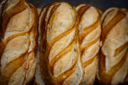 Panecillos (pan) listos para hacer bocadillos