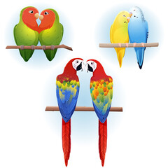 Vector set of cartoon colorful parrots in love