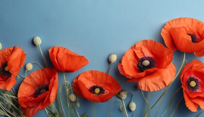 banner with red poppy flowers on blue background symbol for remembrance memorial anzac day - obrazy, fototapety, plakaty