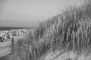 Langeoog in der Nordsee