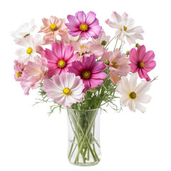 flower  - - blossom. Baby Pink . Cosmos: Order, peace, and beauty