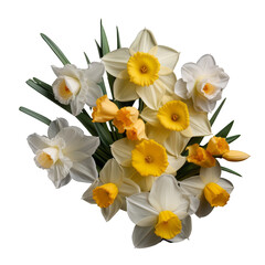 Bouquet white and yellow flower tone. Daffodil flower : New beginnings and rebirth
