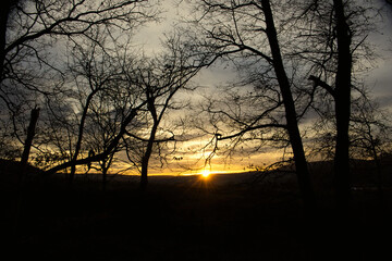 Silhouetten von Bäumen und einer Landschaft bei einem beindruckenden Sonnenuntergang