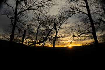 Silhouetten von Bäumen und einer Landschaft bei einem beindruckenden Sonnenuntergang
