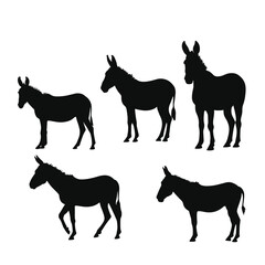 Silhouettes of five donkeys in various poses on a clean white background, showcasing their distinctive shapes and postures.
