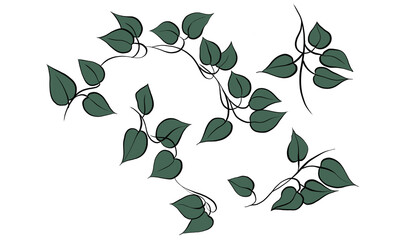 Ilustrated leaves ornaments